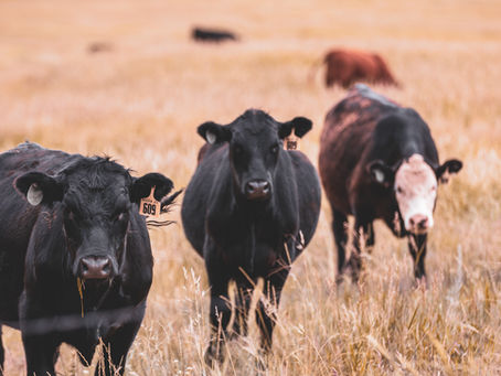 ENERGY INDUSTRIES IMPORTANT TO THE NEW OKLAHOMA RURAL ASSOCIATION